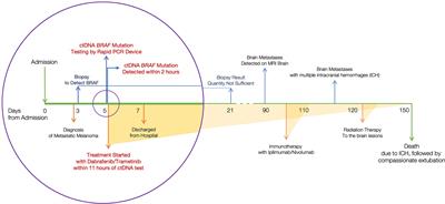 Circulating Tumor DNA Testing Supports Rapid Therapeutic Decision-Making in Metastatic Melanoma: A Case Report